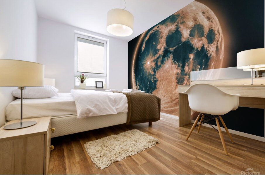 The moon  Mural print