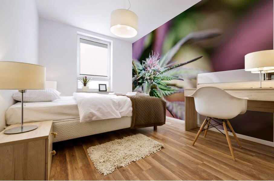 Pretty in Pink & Green Mural print