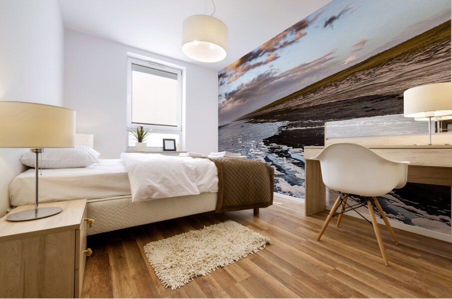 IMG 20231104 170759218 Mural print