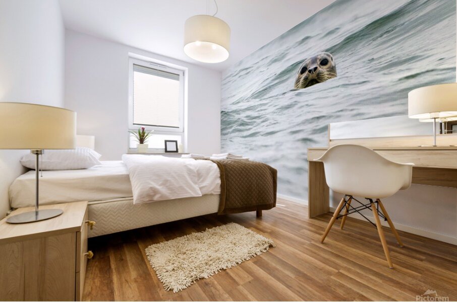 IMG 6949 Mural print