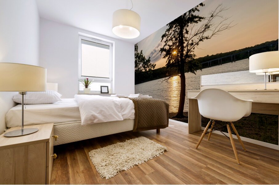 Curvy Tree Golden Sunset Mural print