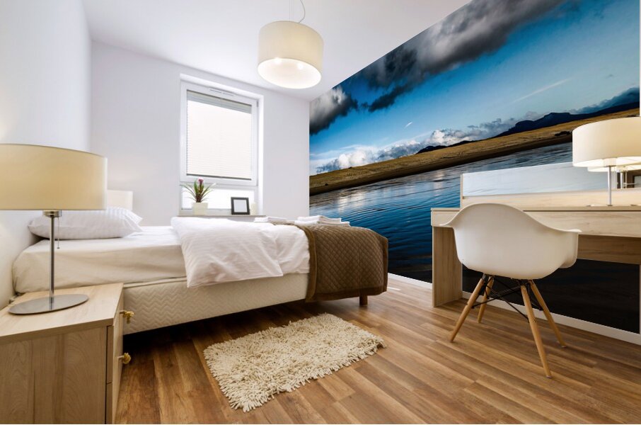 IMG 20230305 164051495 HDR Mural print