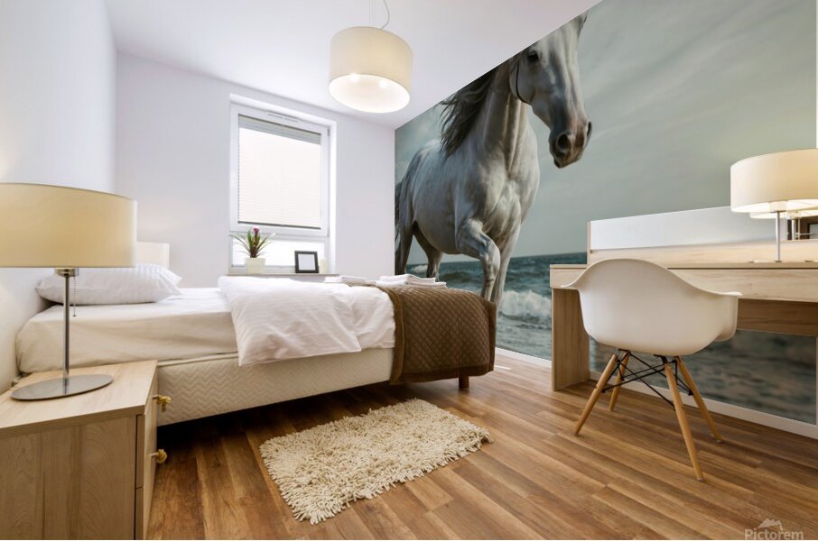 White horse  Mural print