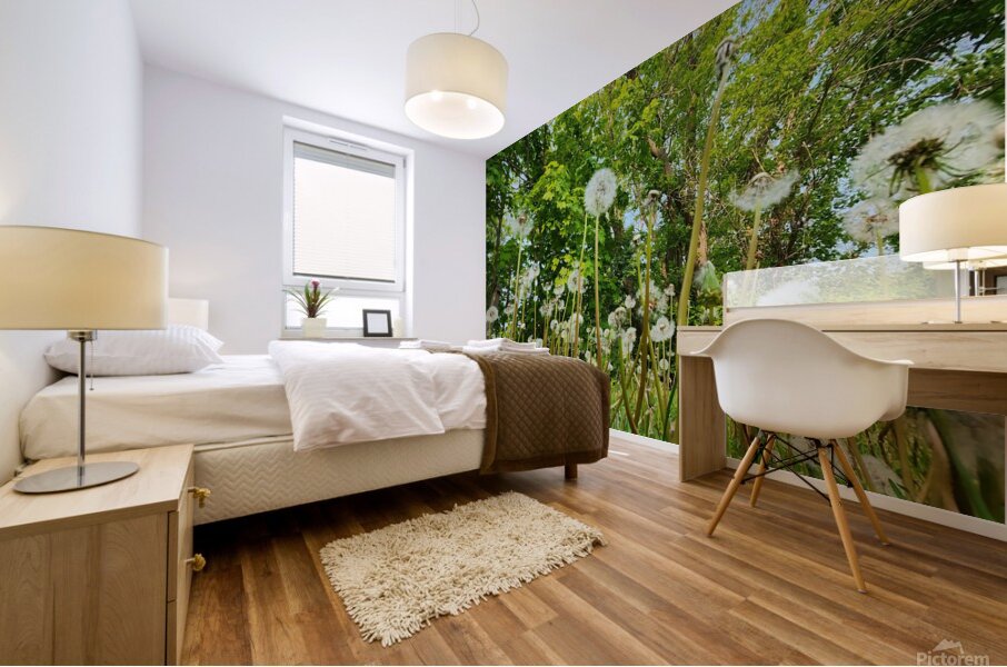 So Many Wishes Mural print