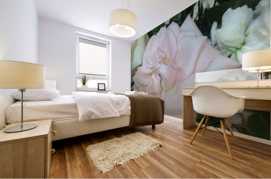 6CAD6156 6F76 4FD5 8652 4FA8ED2420E9 Mural print