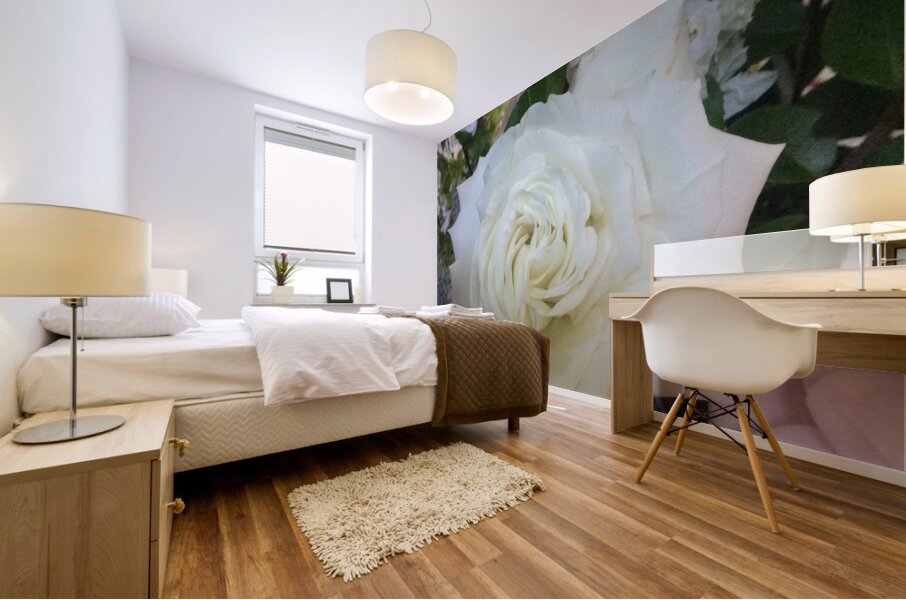 C04F7D9C 114C 413E 96C2 2282B360E461 Mural print