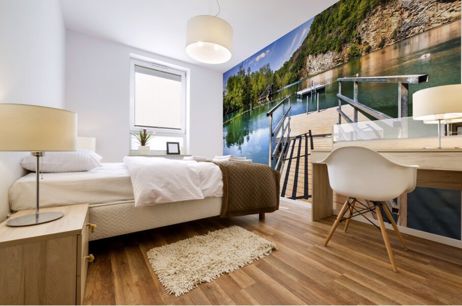 Meads Quarry Lake Knoxville TN Mural print