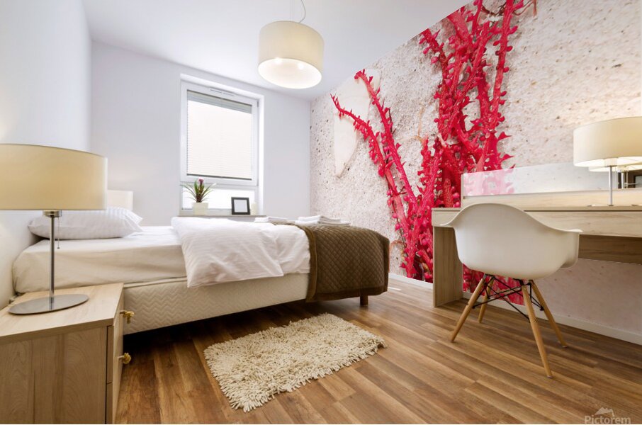 Naples Sand and Surf 30 Mural print