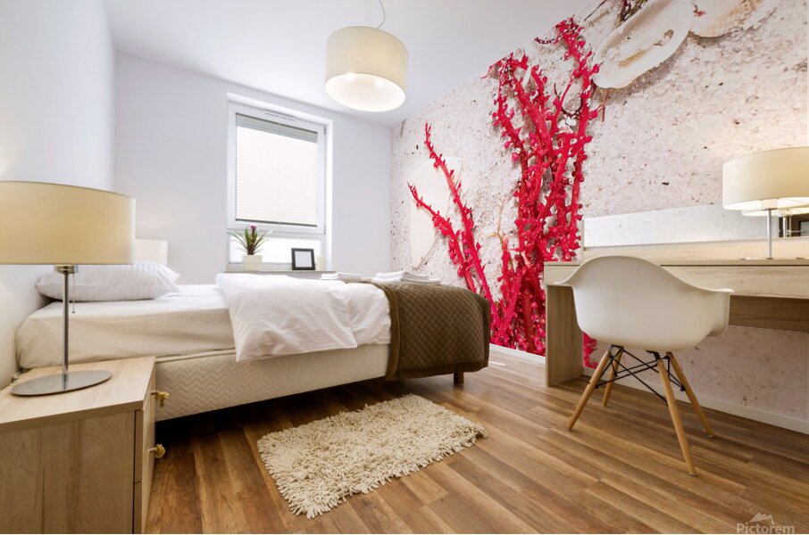 Naples Sand and Surf 33 Mural print