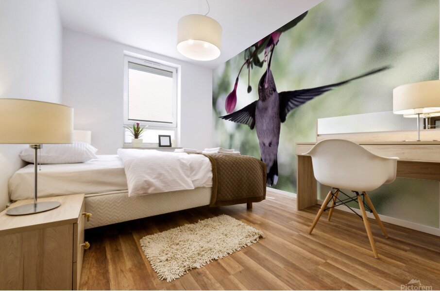 IMG 8185 Mural print