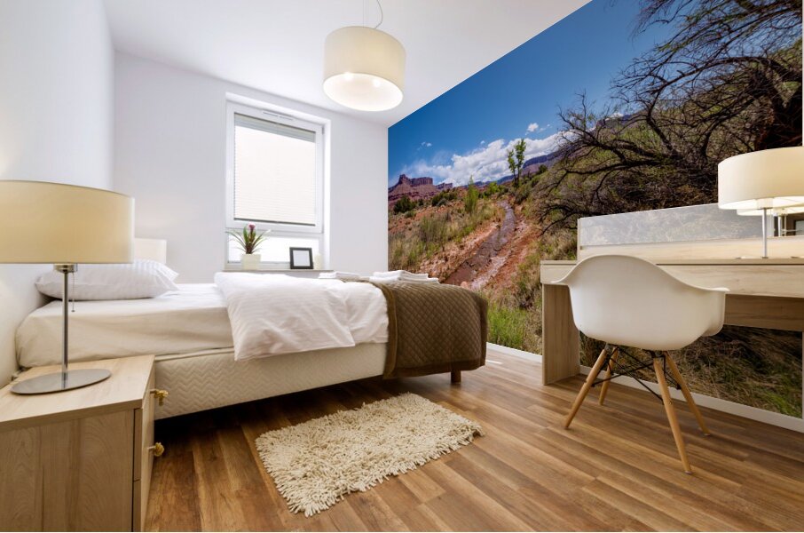 Utah Desert Hiking At Professor Creek Mural print