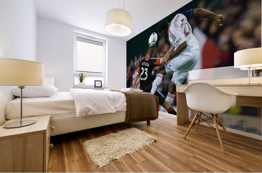 ACT 02344 Mural print