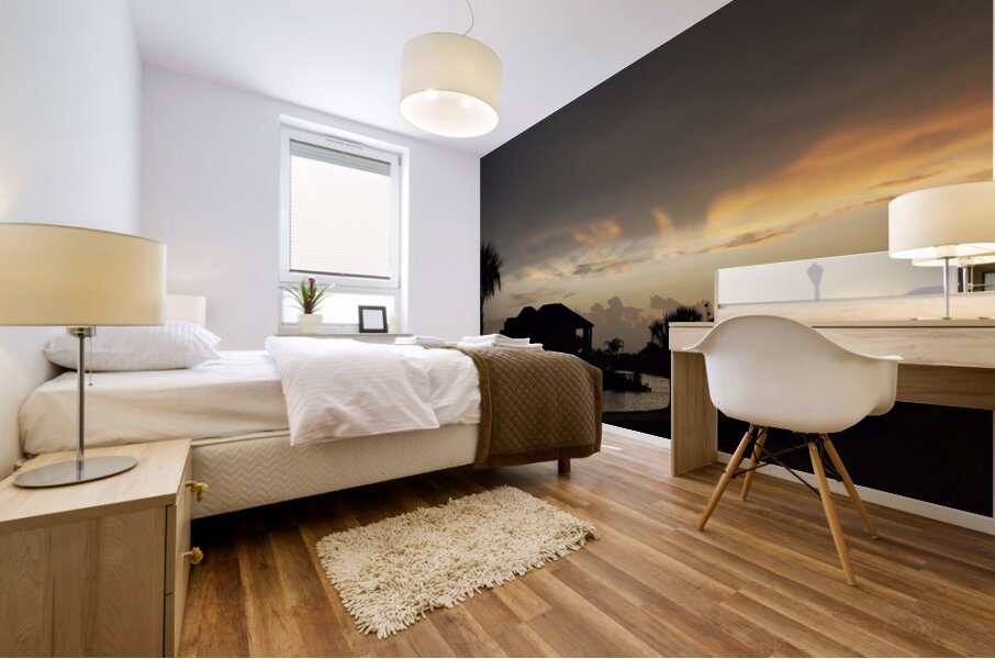 Sky Shadow II Mural print