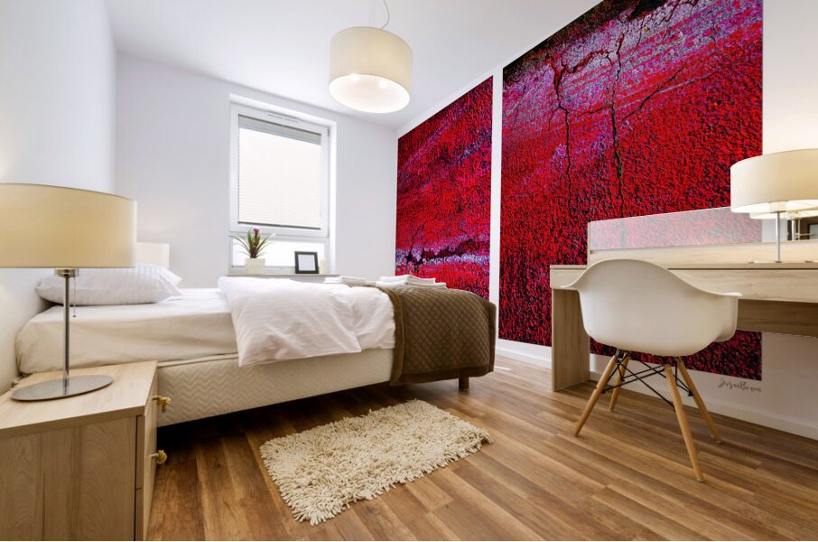 Seeing Red 02 Mural print