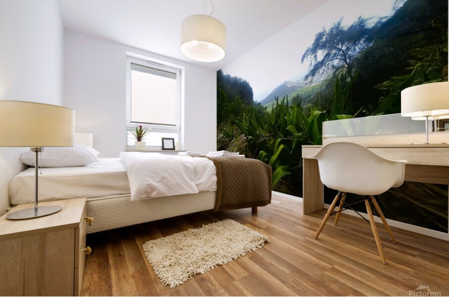 Hawaii 4 Mural print