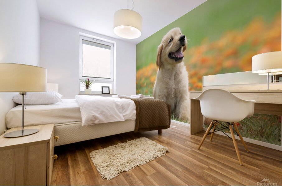 Inclave  Casino List Mural print