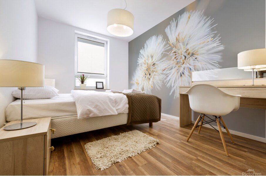 DSC03431 Mural print