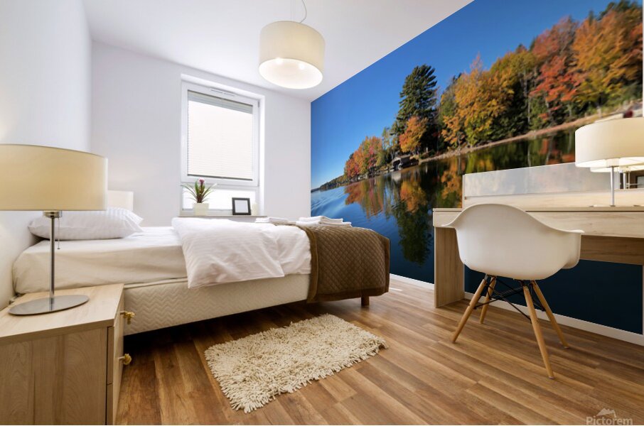 Fall in Maine Mural print