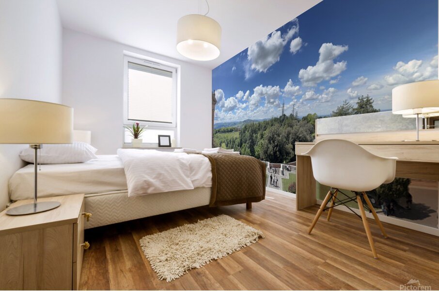 Santuario Madonna di San Luca Bologna Italy Mural print