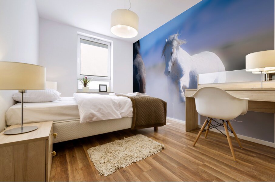 BZ9 9220 Enhanced NR Mural print