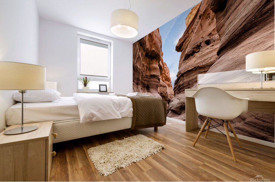 Inside a Canyon Mural print