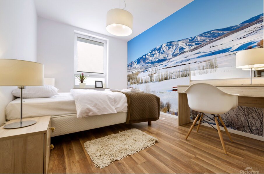 Steamboat Springs 2 Mural print