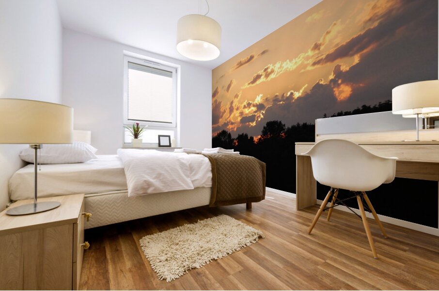 Chicagoland Speedway II Mural print