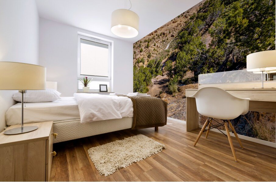 Harleys Dome Valley View Vertical Mural print