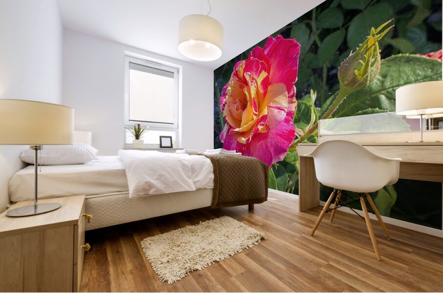 Pink Lemonade Mural print