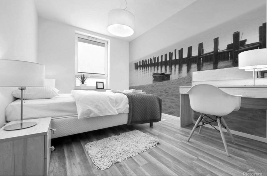 Monochromatic Seashore  Mural print