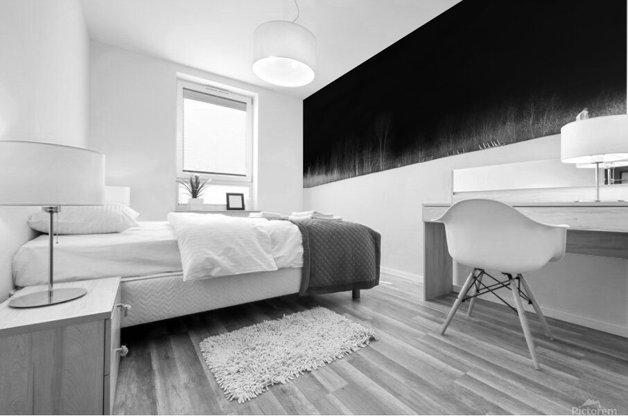 Horizon noir 1 Mural print