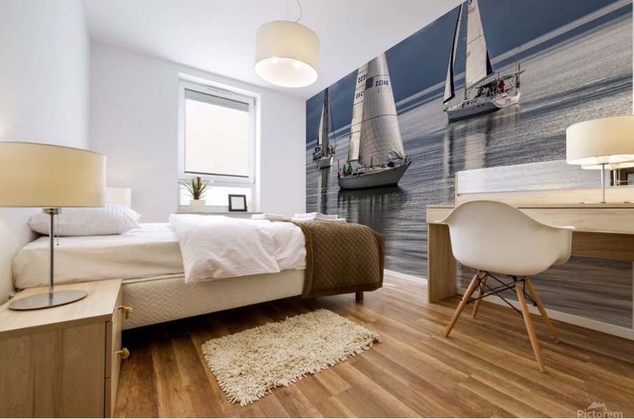  DSC8138 copy Mural print