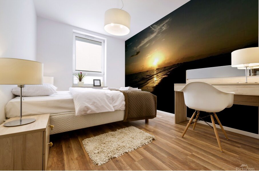 10353194 10152553476761764 6690164207072507782 n Mural print