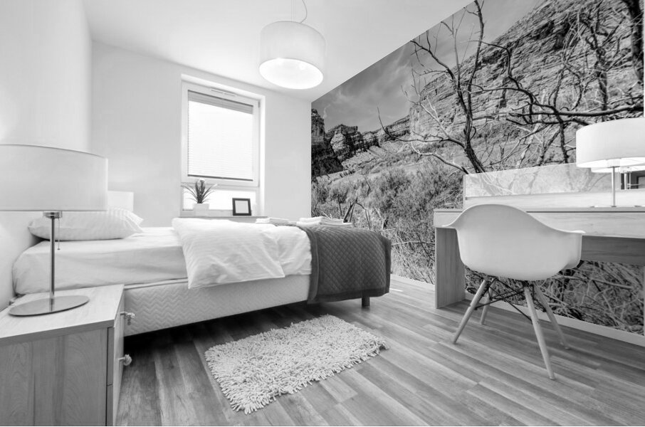 Dead Tree Colorado River Utah Grayscale Mural print