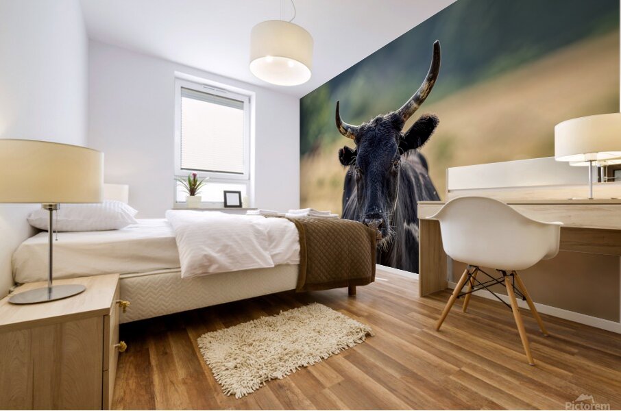 Longhorn Lady Mural print
