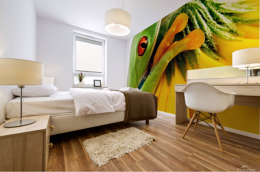 Frog On A Petal Mural print