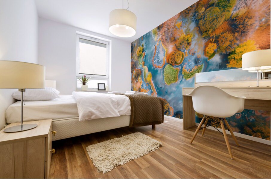 Aerial View of Multicolored autumn in wetlands  2 Mural print