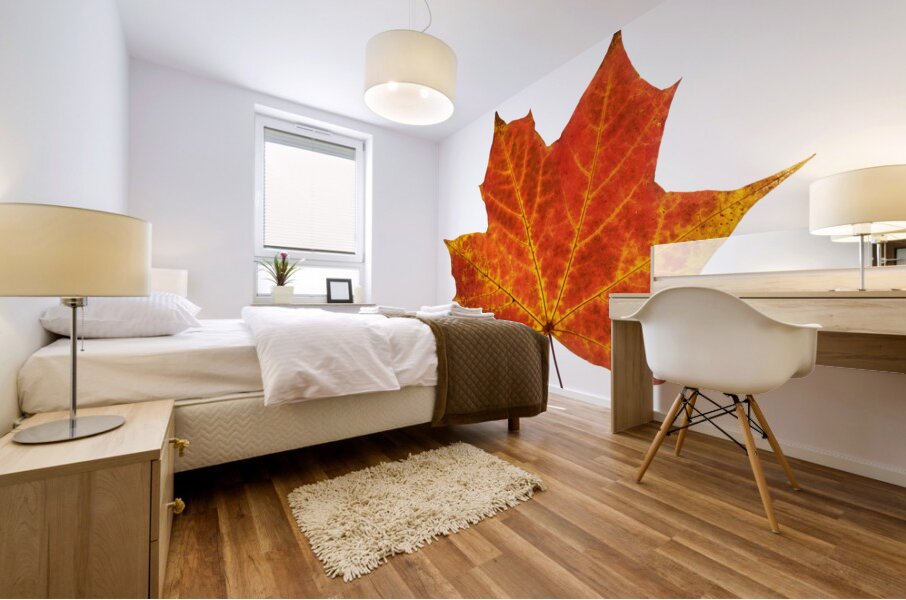 Autumn Leaf 3 Mural print