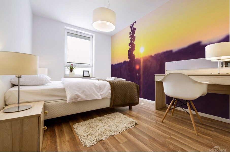 Sunset Galway  Mural print