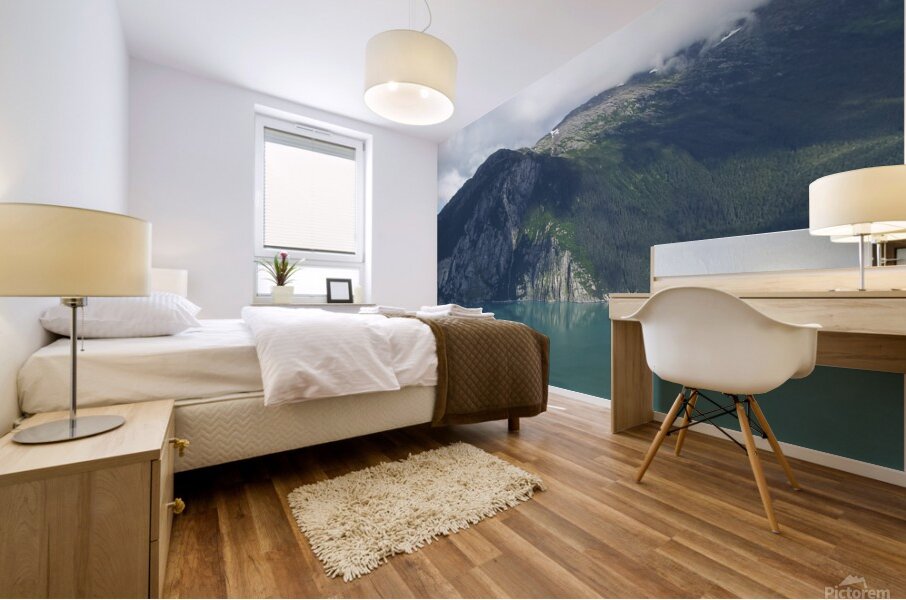 May   start of June 2012 443 Mural print