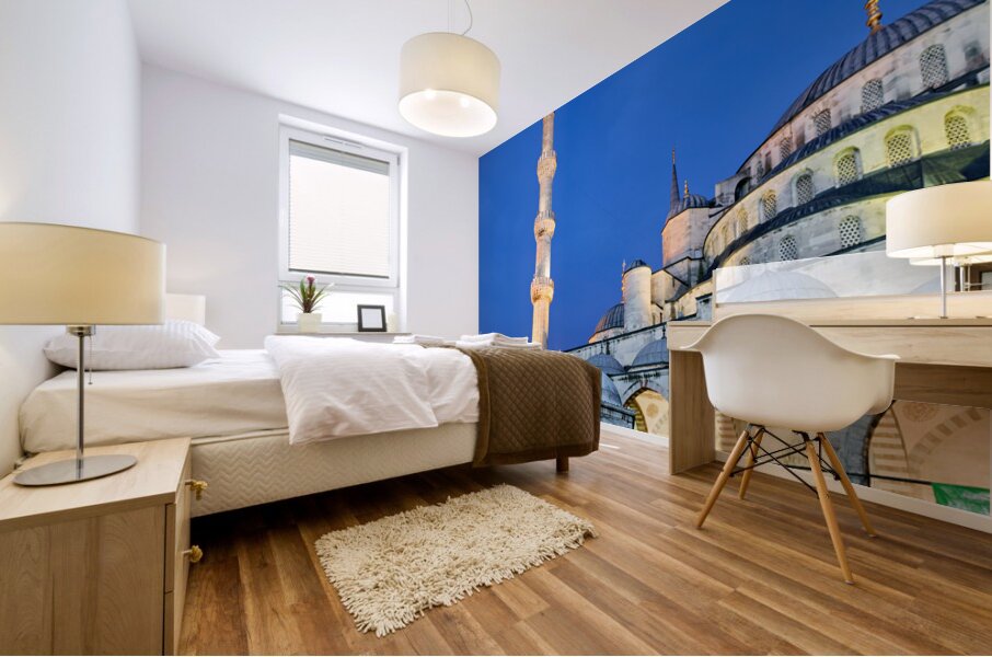 Istanbul Turkey. The Blue Mosque at sunset Mural print