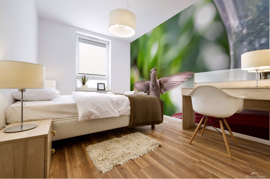 IMG 094400000 Mural print