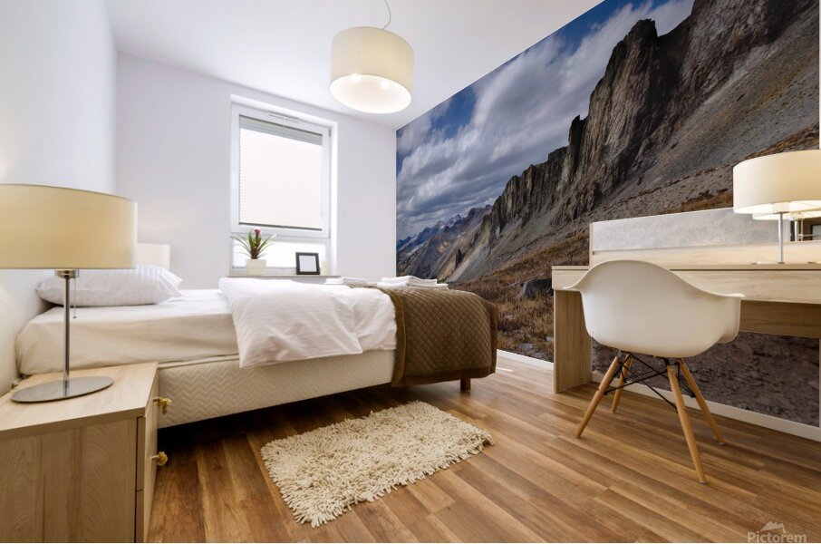 Colorado Landscapes 4 Mural print