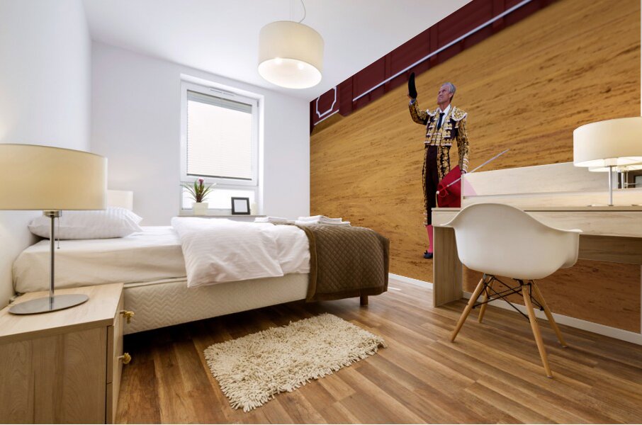 ANDALUSIA SPAIN. Bullfight in Seville Arena Mural print