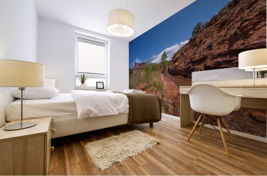 Professor Creek By A Bluff Mural print