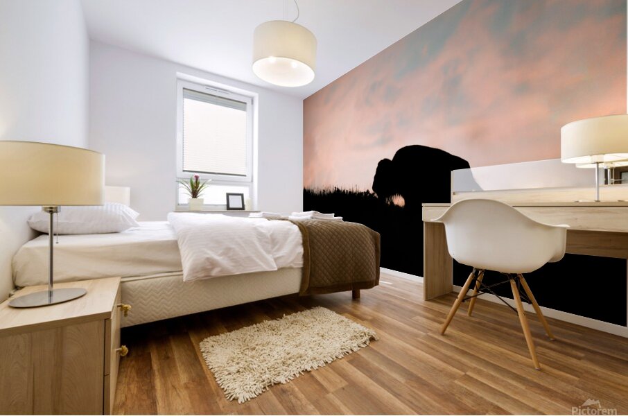 DSC00433 Enhanced SR Mural print