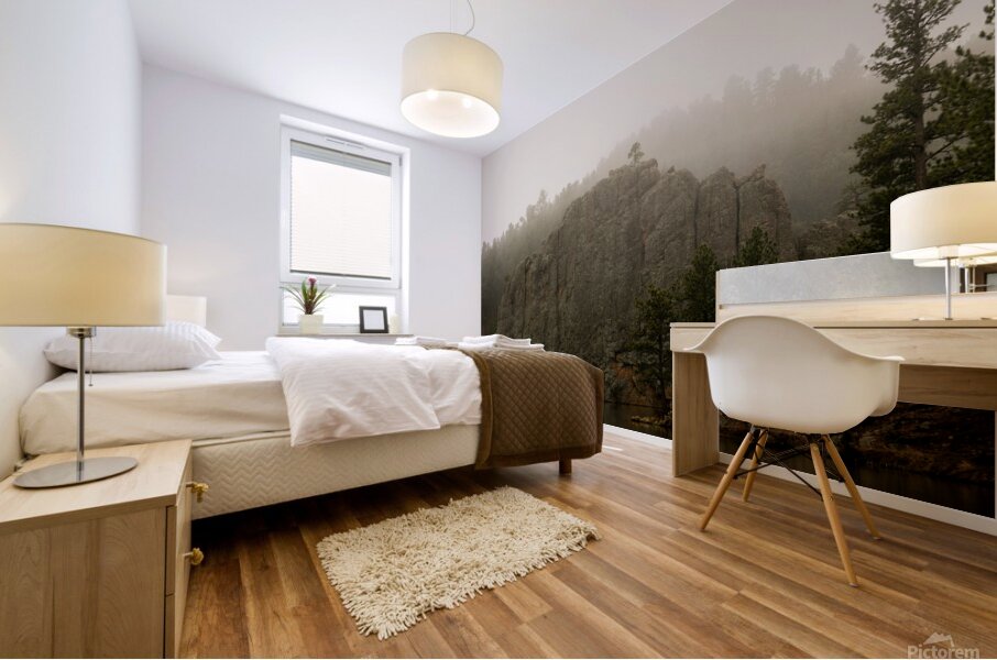 DSC09135 Mural print