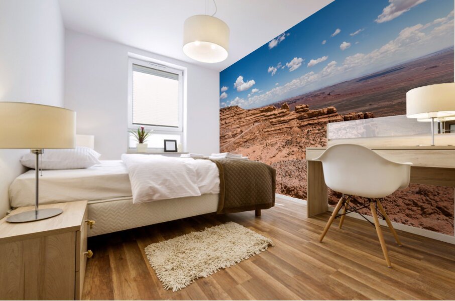 Moki Dugway Cedar Mesa Mural print