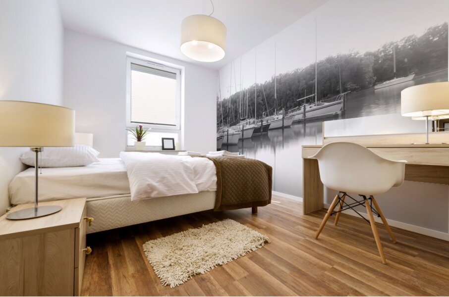 Quiet Morning at Smith Mountain Lake Mural print