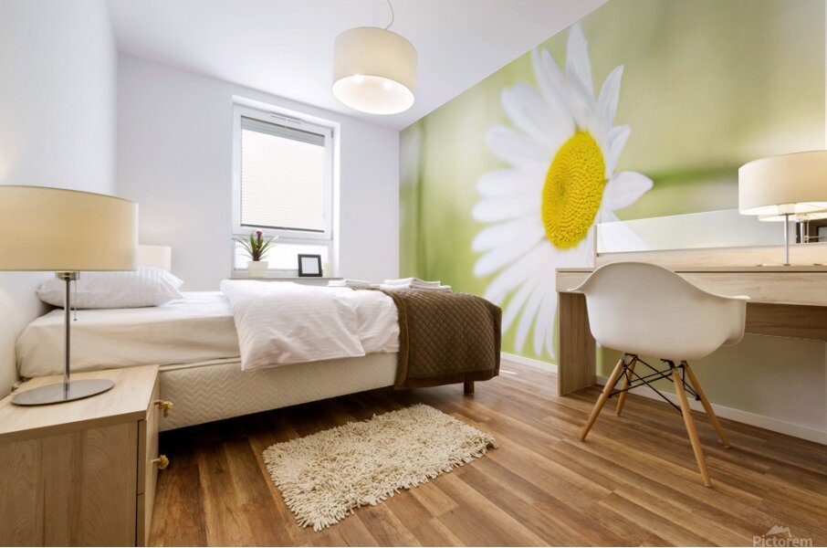 The Subtle Allure of a Simple Daisy Mural print